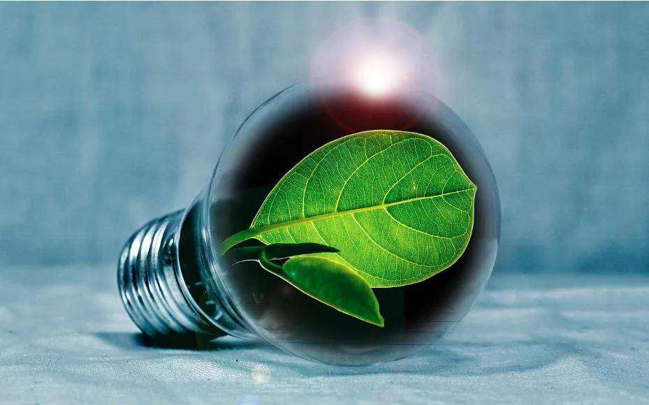 Will Fossil Fuels and Nuclear Power the AI Boom?